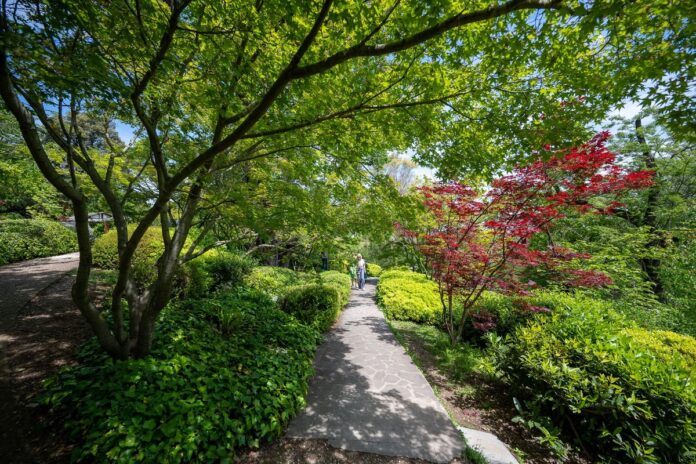 ortidea 2024 Ortidea 2024 a Roma